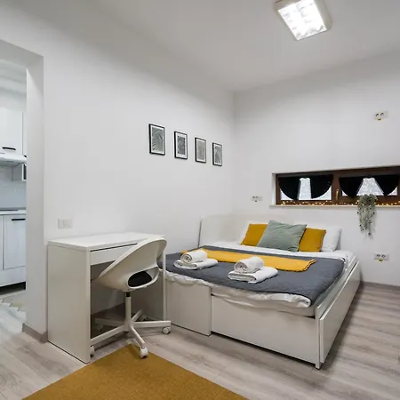 Apartament Studiouri Spitalul Fundeni - Terasa Si Parcare *