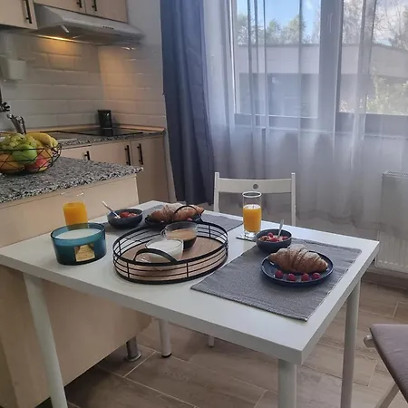 Studiouri Spitalul Fundeni - Terasa Si Parcare Apartament Bukareszt