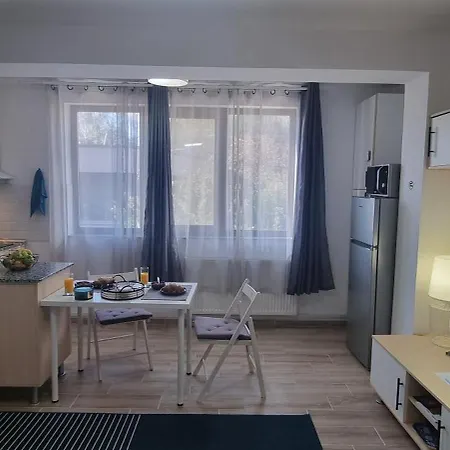 Studiouri Spitalul Fundeni - Terasa Si Parcare Apartament *