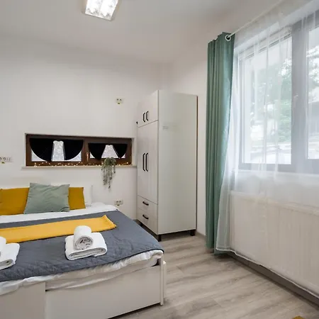 Studiouri Spitalul Fundeni - Terasa Si Parcare *