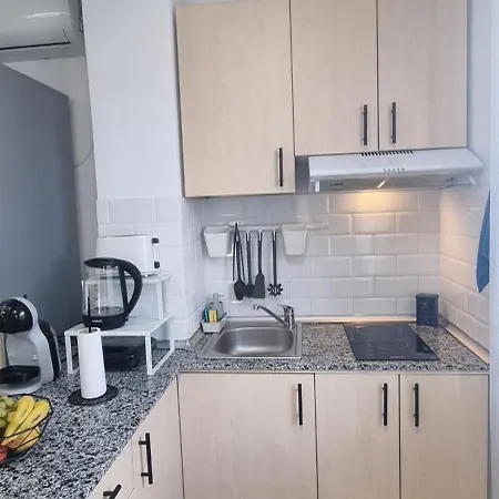 Studiouri Spitalul Fundeni - Terasa Si Parcare *