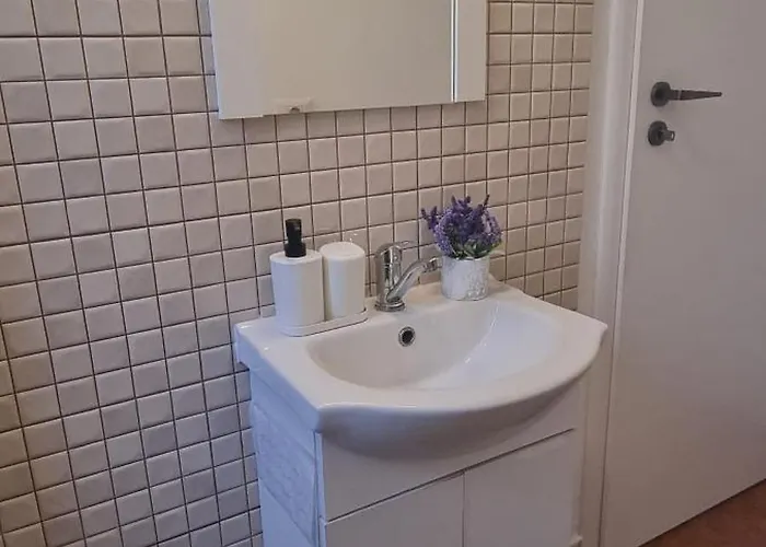 Studiouri Spitalul Fundeni - Terasa Si Parcare