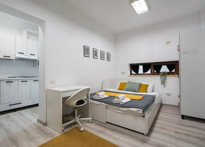 Apartman Studiouri Spitalul Fundeni - Terasa Si Parcare *