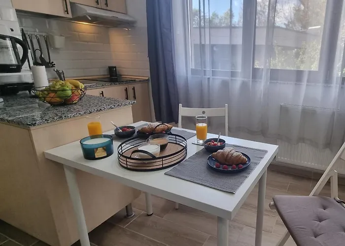 Studiouri Spitalul Fundeni - Terasa Si Parcare Apartman Bukarest