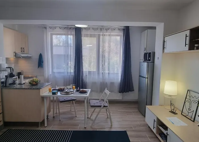 Studiouri Spitalul Fundeni - Terasa Si Parcare Apartman *