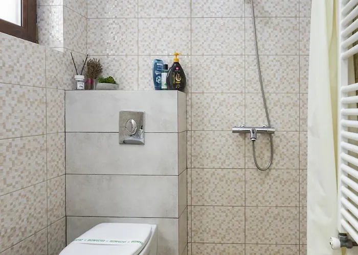 Apartman Studiouri Spitalul Fundeni - Terasa Si Parcare *