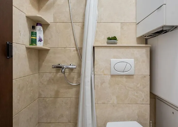 Studiouri Spitalul Fundeni - Terasa Si Parcare *