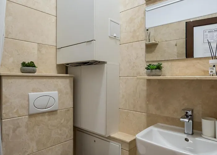 Studiouri Spitalul Fundeni - Terasa Si Parcare