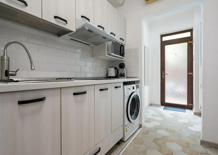 Studiouri Spitalul Fundeni - Terasa Si Parcare *